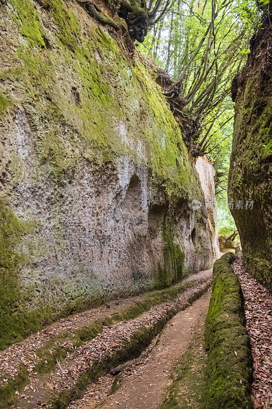 皮蒂利亚诺托斯卡纳的Vie Cave